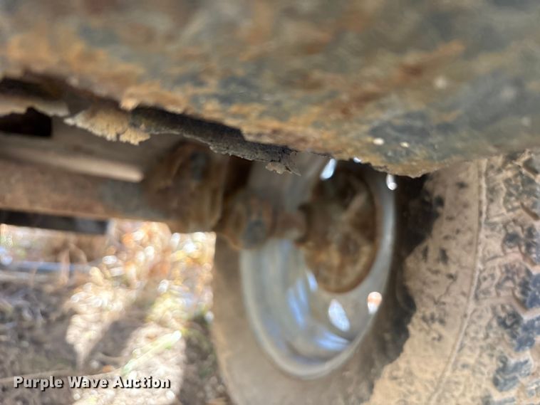 image for item DT2796 (4) light plants