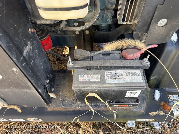 image for item DT2796 (4) light plants