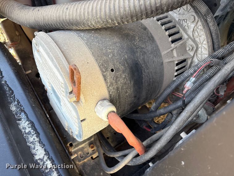 image for item DT2796 (4) light plants