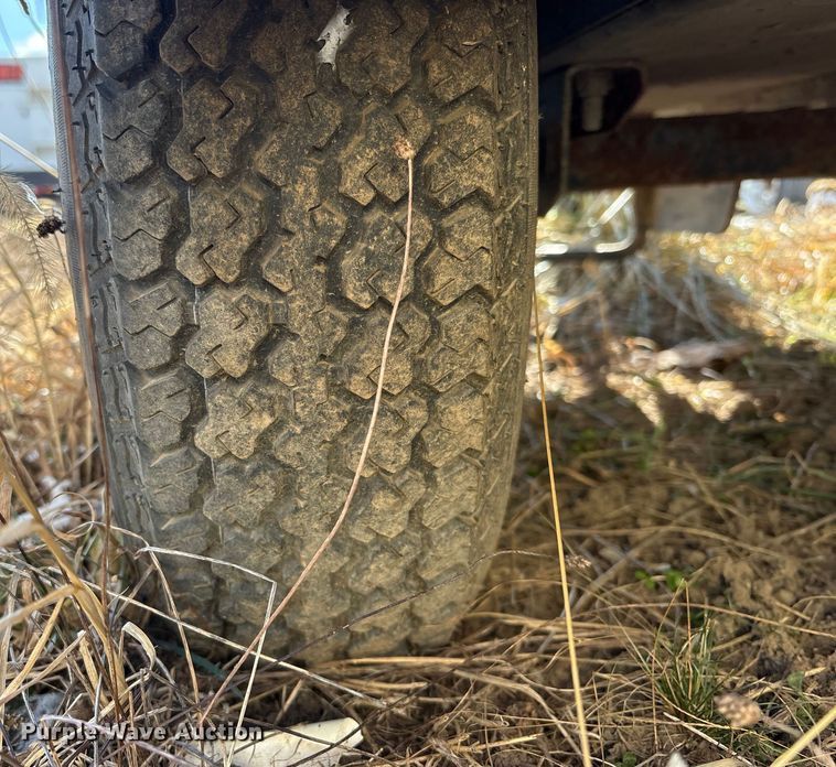 image for item DT2796 (4) light plants