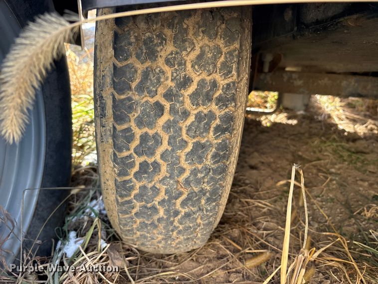 image for item DT2796 (4) light plants