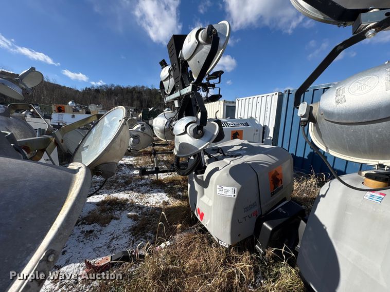 image for item DT2796 (4) light plants