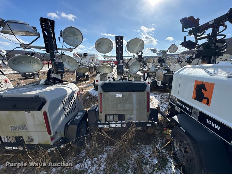 image for item DT2796 (4) light plants