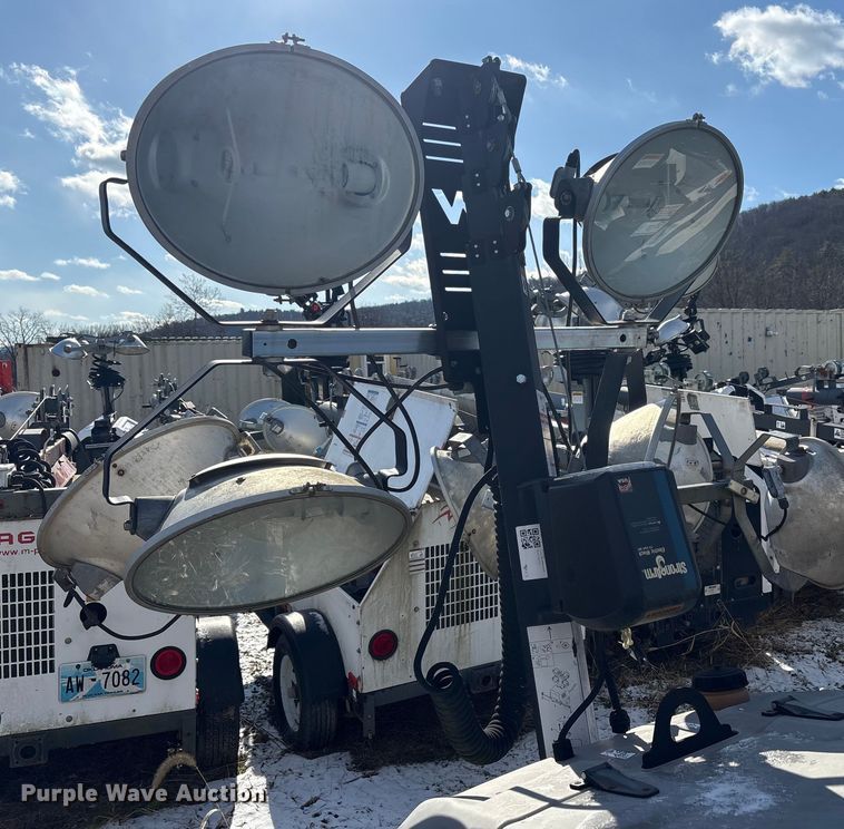 image for item DT2796 (4) light plants