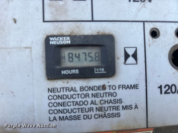 image for item DT2796 (4) light plants