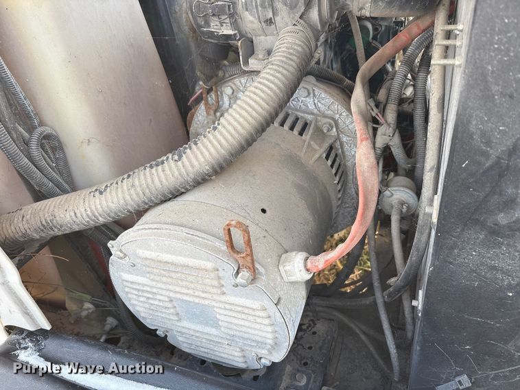 image for item DT2796 (4) light plants