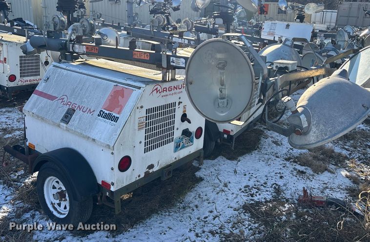 image for item DT2797 (4) light plants