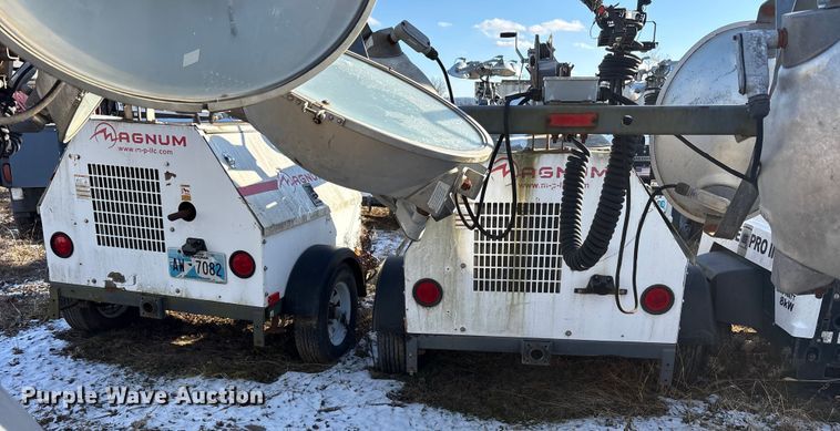 image for item DT2797 (4) light plants