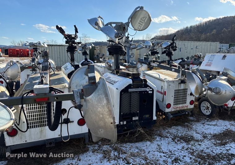 image for item DT2797 (4) light plants