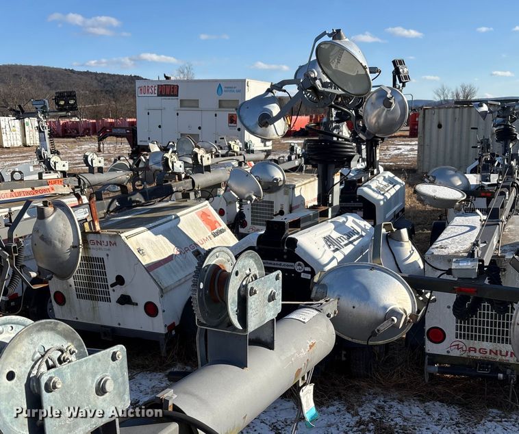 image for item DT2797 (4) light plants