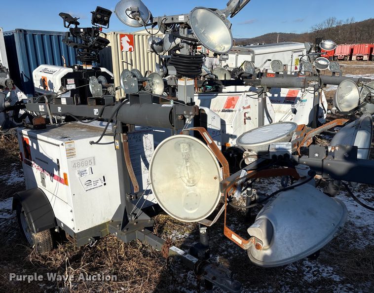 image for item DT2797 (4) light plants