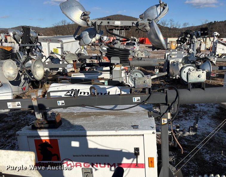 image for item DT2797 (4) light plants