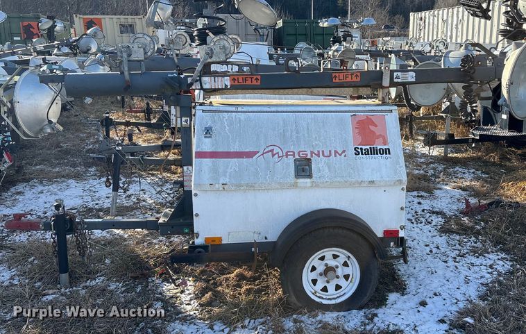 image for item DT2797 (4) light plants