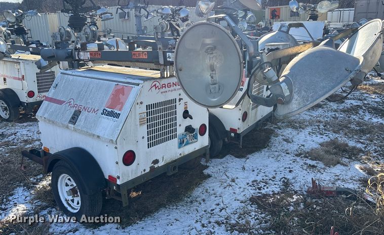 image for item DT2797 (4) light plants