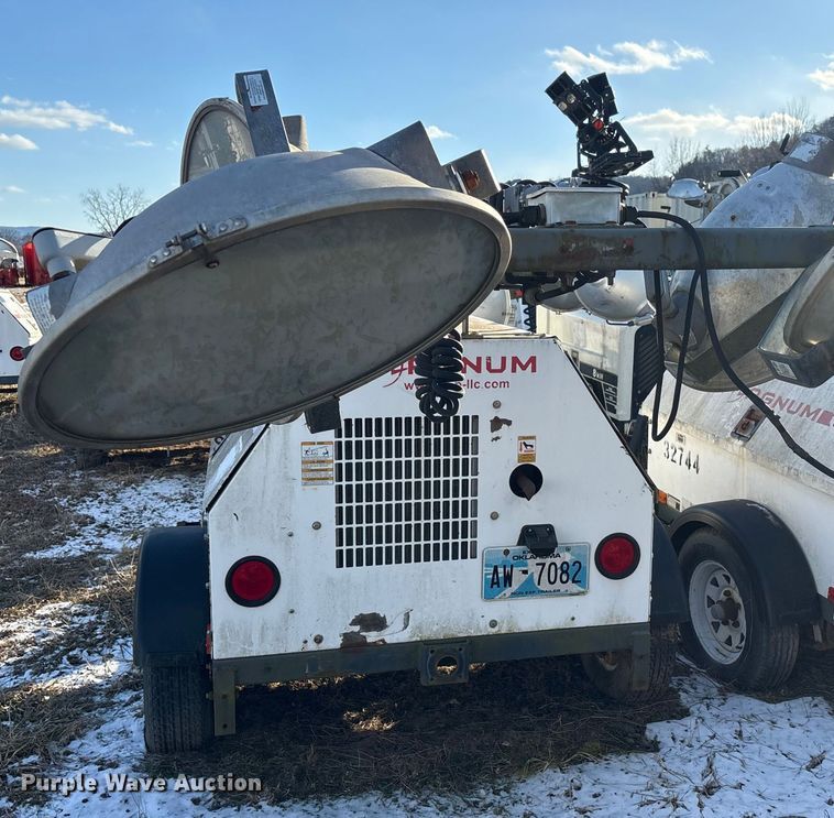 image for item DT2797 (4) light plants