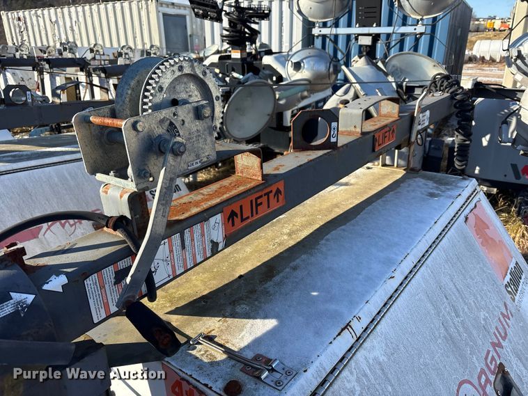 image for item DT2797 (4) light plants