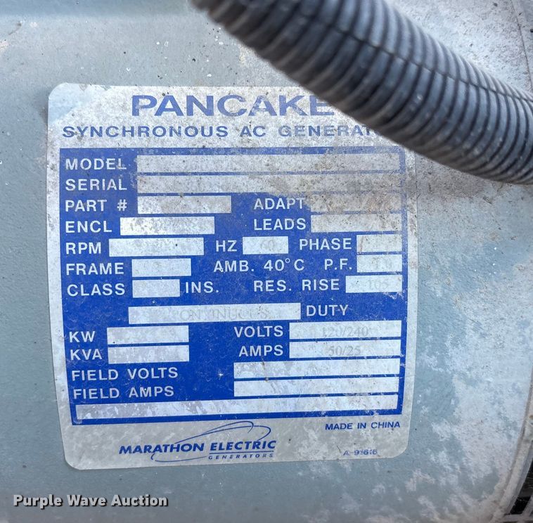 image for item DT2797 (4) light plants