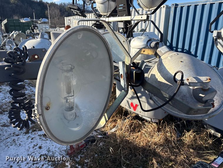 image for item DT2797 (4) light plants