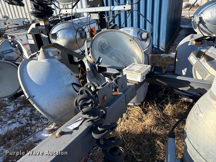 image for item DT2797 (4) light plants