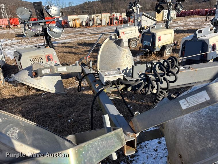 image for item DT2797 (4) light plants