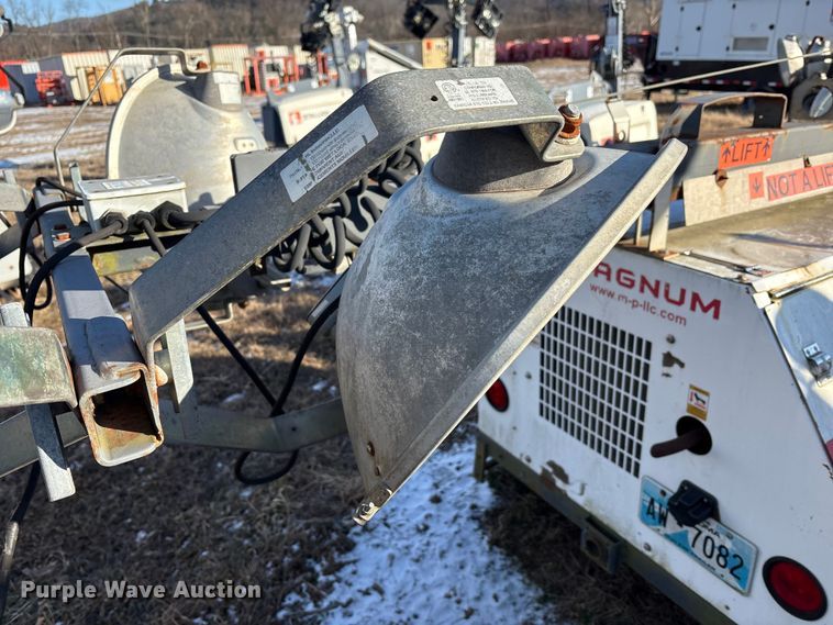 image for item DT2797 (4) light plants