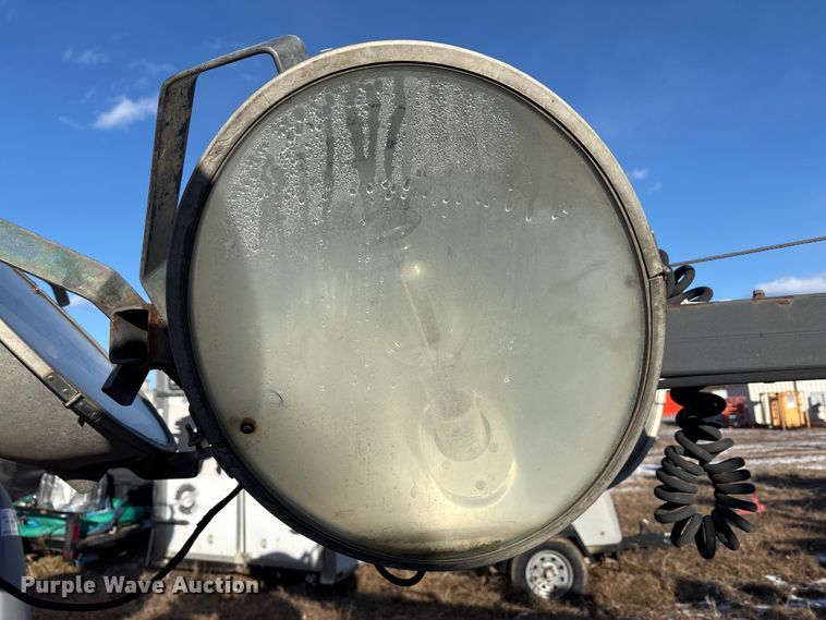 image for item DT2797 (4) light plants