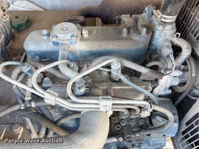 image for item DT2797 (4) light plants