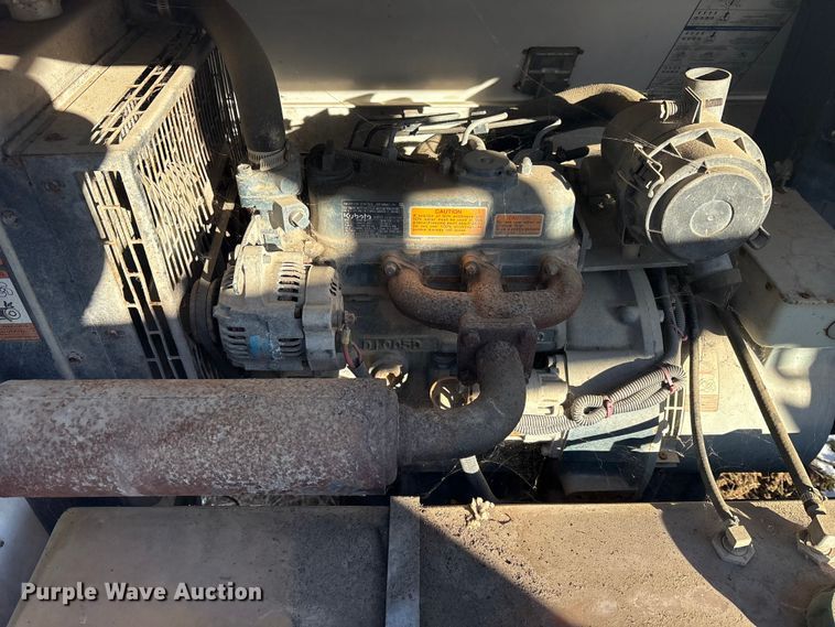 image for item DT2797 (4) light plants