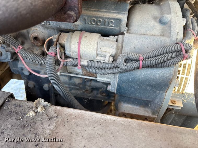 image for item DT2797 (4) light plants