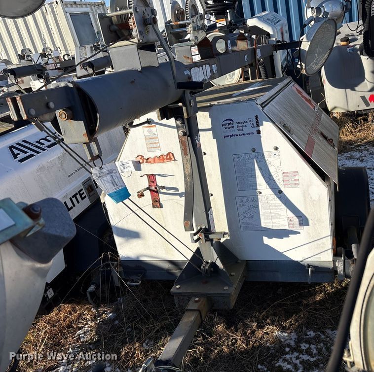 image for item DT2797 (4) light plants