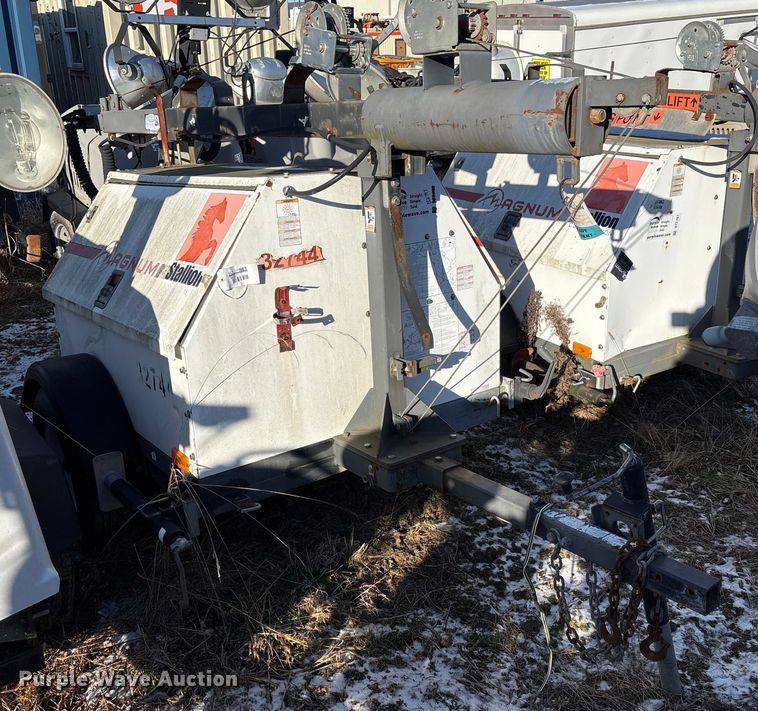 image for item DT2797 (4) light plants