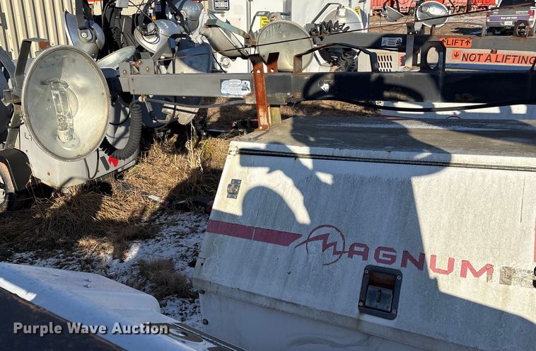 image for item DT2797 (4) light plants