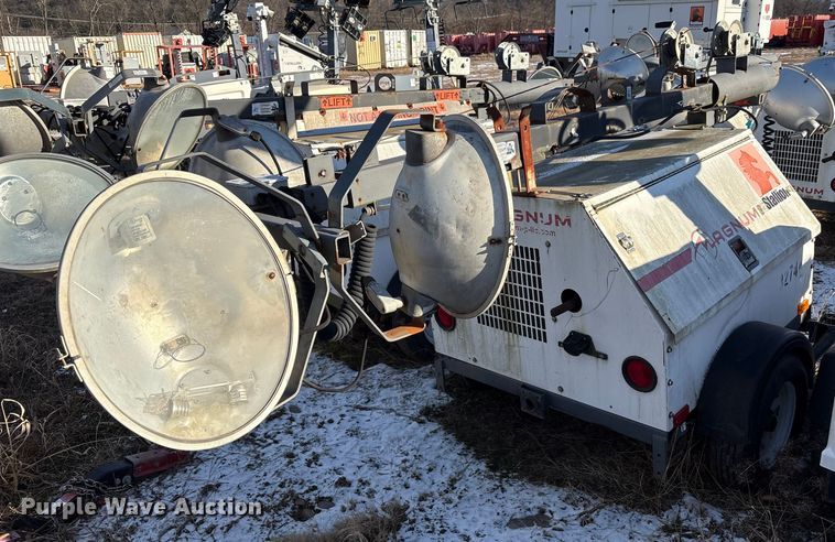 image for item DT2797 (4) light plants