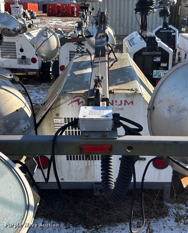 image for item DT2797 (4) light plants