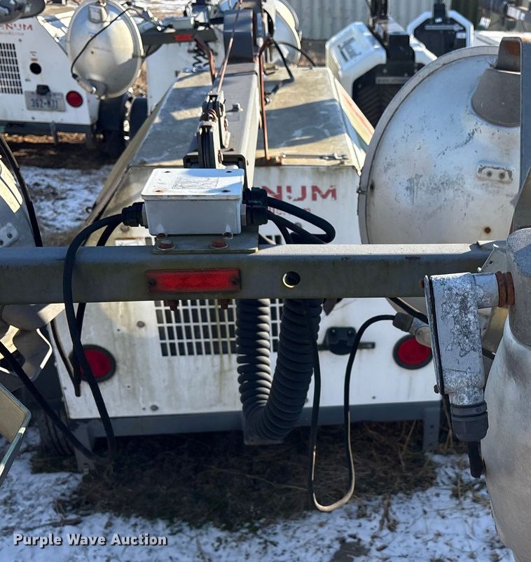 image for item DT2797 (4) light plants