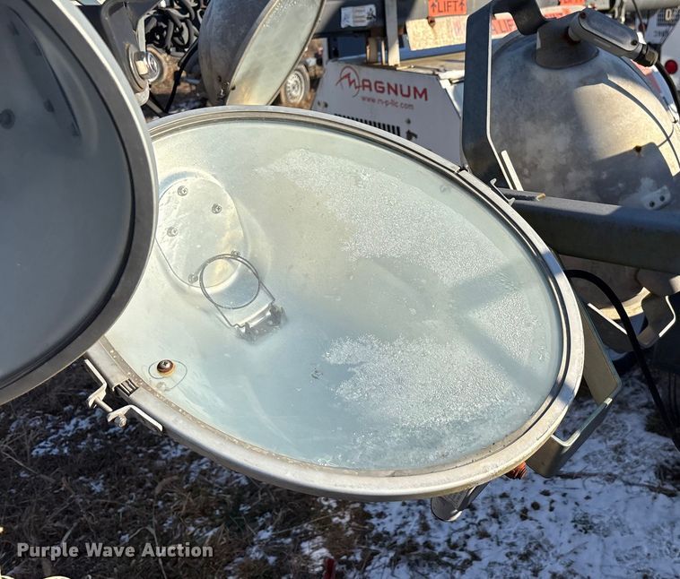 image for item DT2797 (4) light plants