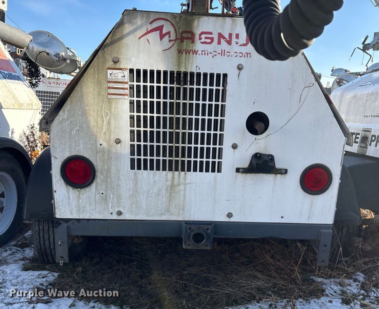 image for item DT2797 (4) light plants