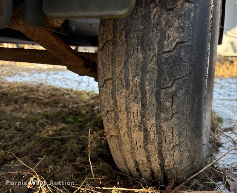 image for item DT2797 (4) light plants