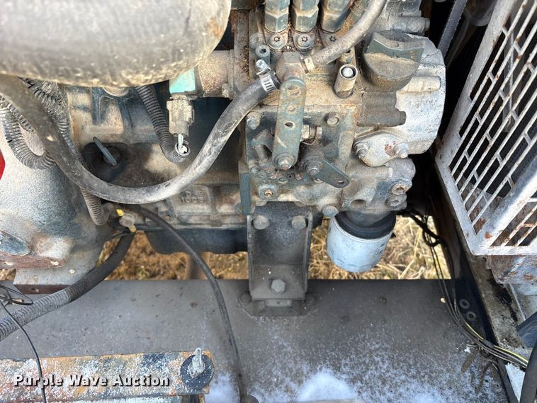 image for item DT2797 (4) light plants