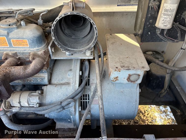 image for item DT2797 (4) light plants