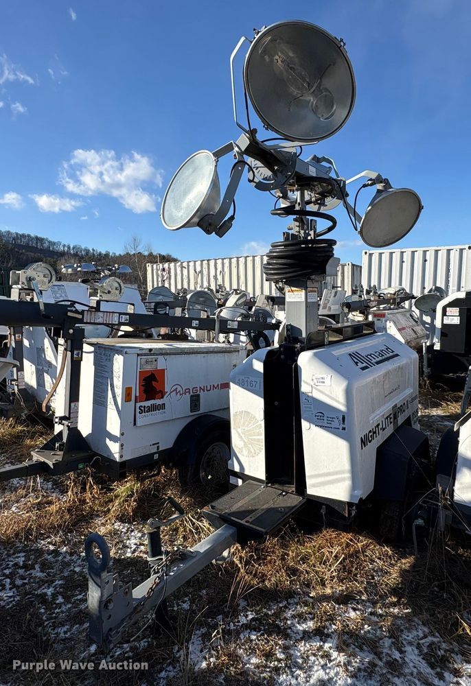 image for item DT2797 (4) light plants