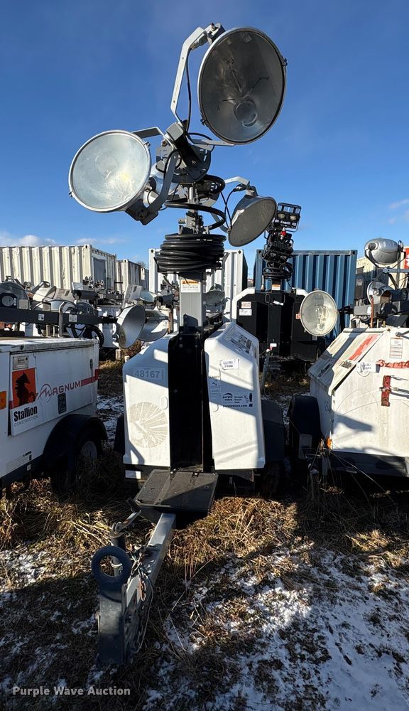 image for item DT2797 (4) light plants