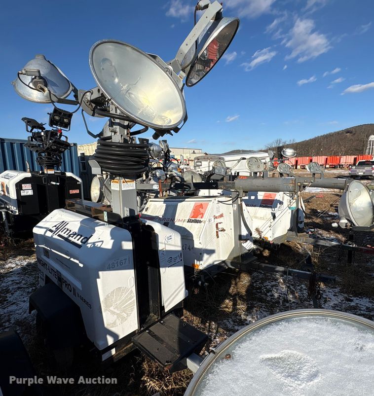 image for item DT2797 (4) light plants