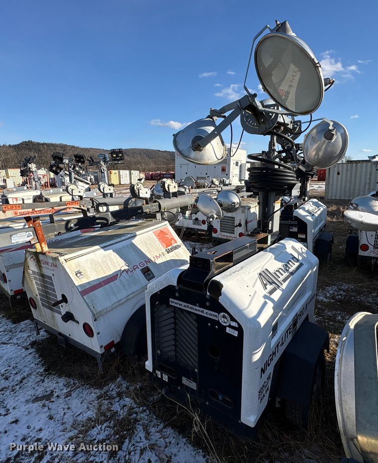 image for item DT2797 (4) light plants