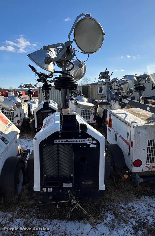 image for item DT2797 (4) light plants