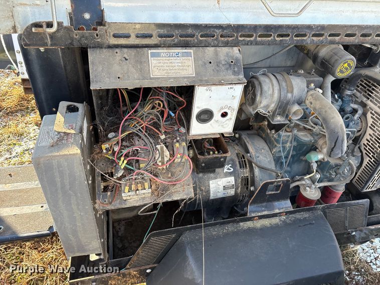 image for item DT2797 (4) light plants