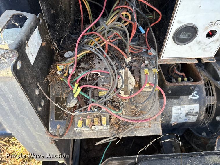 image for item DT2797 (4) light plants