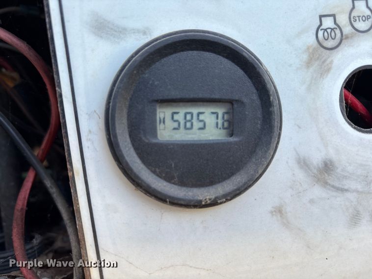 image for item DT2797 (4) light plants