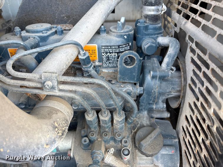 image for item DT2797 (4) light plants