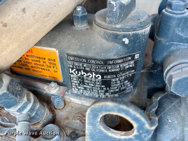 image for item DT2797 (4) light plants